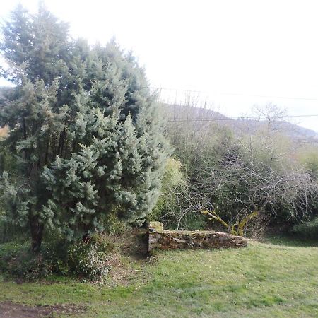 Les Marronniers Bed and Breakfast La Chapelle-sous-Brancion Εξωτερικό φωτογραφία