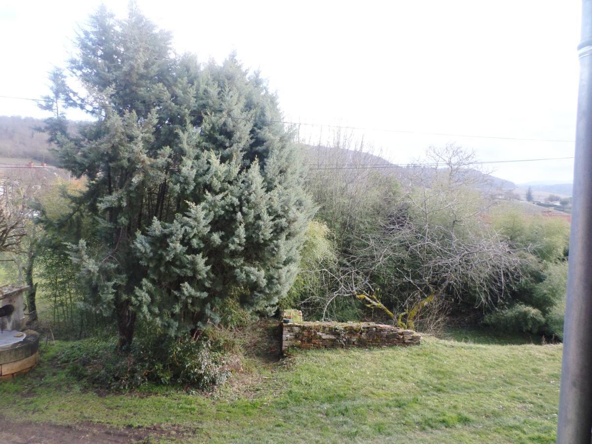 Les Marronniers Bed and Breakfast La Chapelle-sous-Brancion Εξωτερικό φωτογραφία