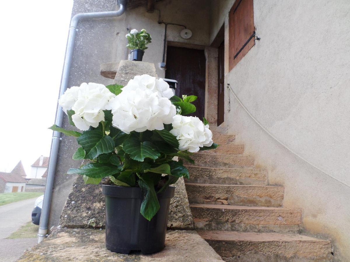 Les Marronniers Bed and Breakfast La Chapelle-sous-Brancion Εξωτερικό φωτογραφία